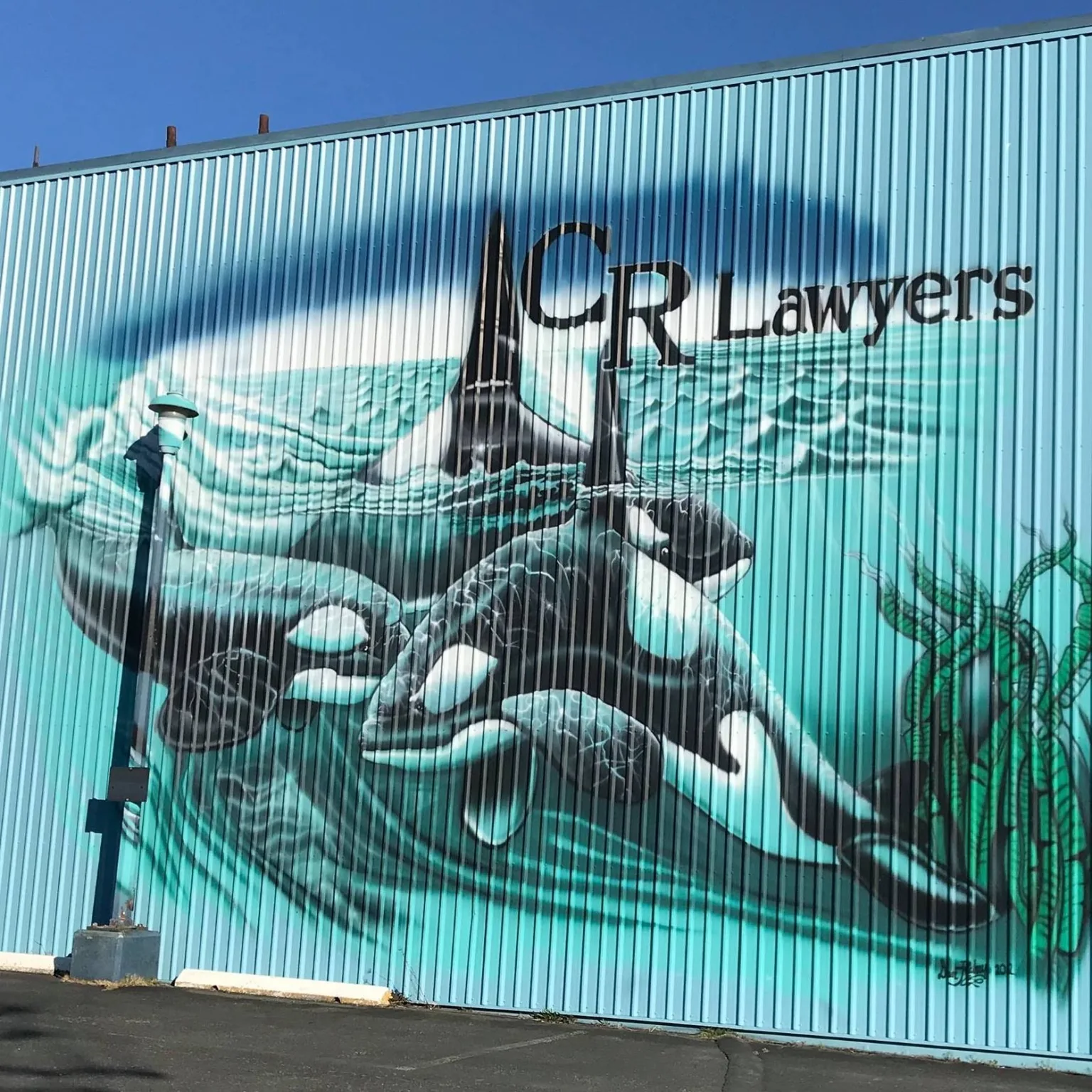 Campbell River CR Lawyers Orca Mural | CR Lawyers