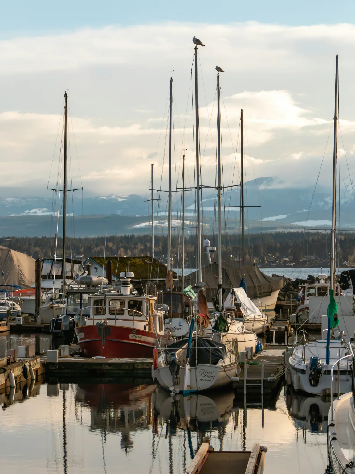 Comox Harbour Boats | CR Lawyers