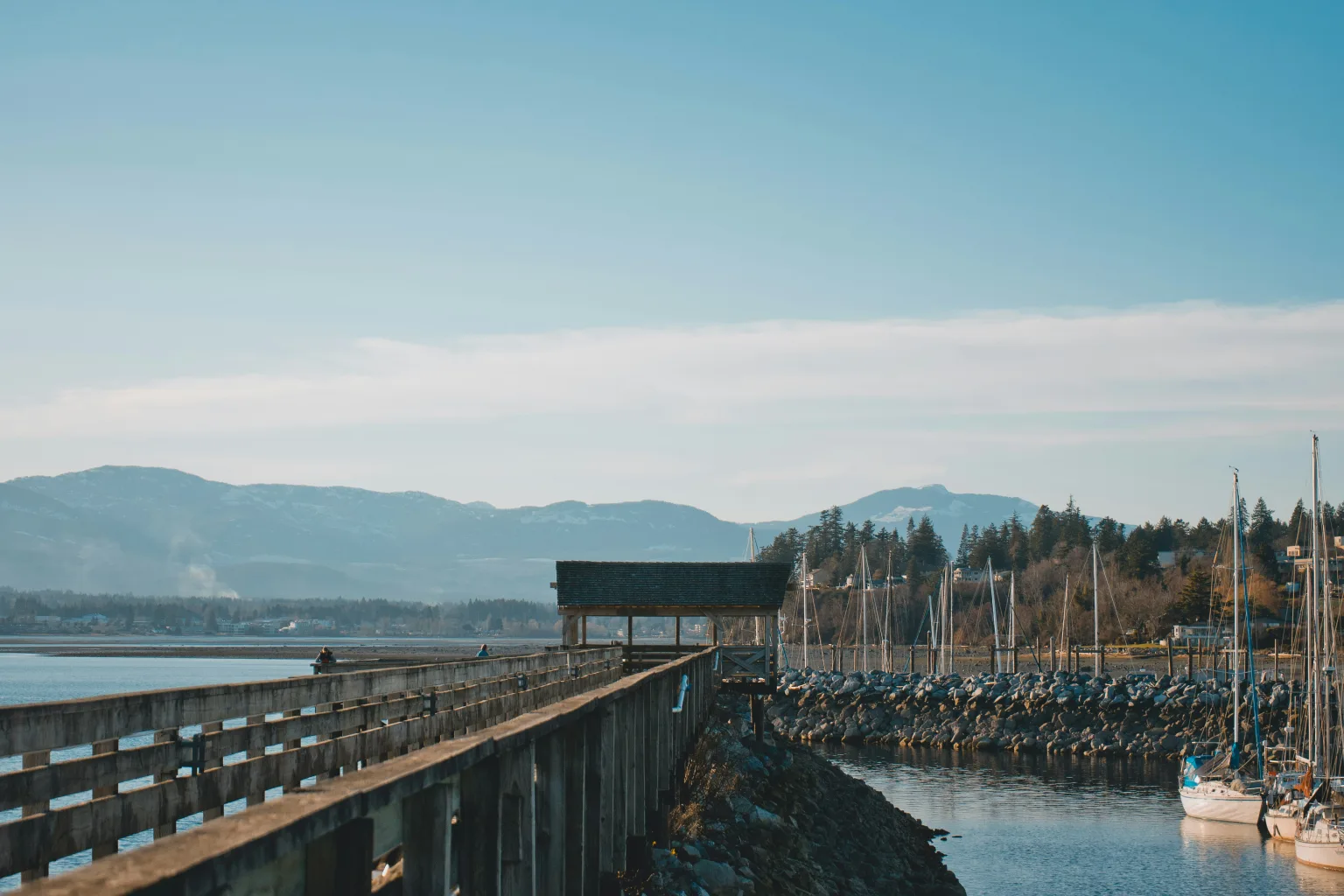 Comox View Bridge | CR Lawyers