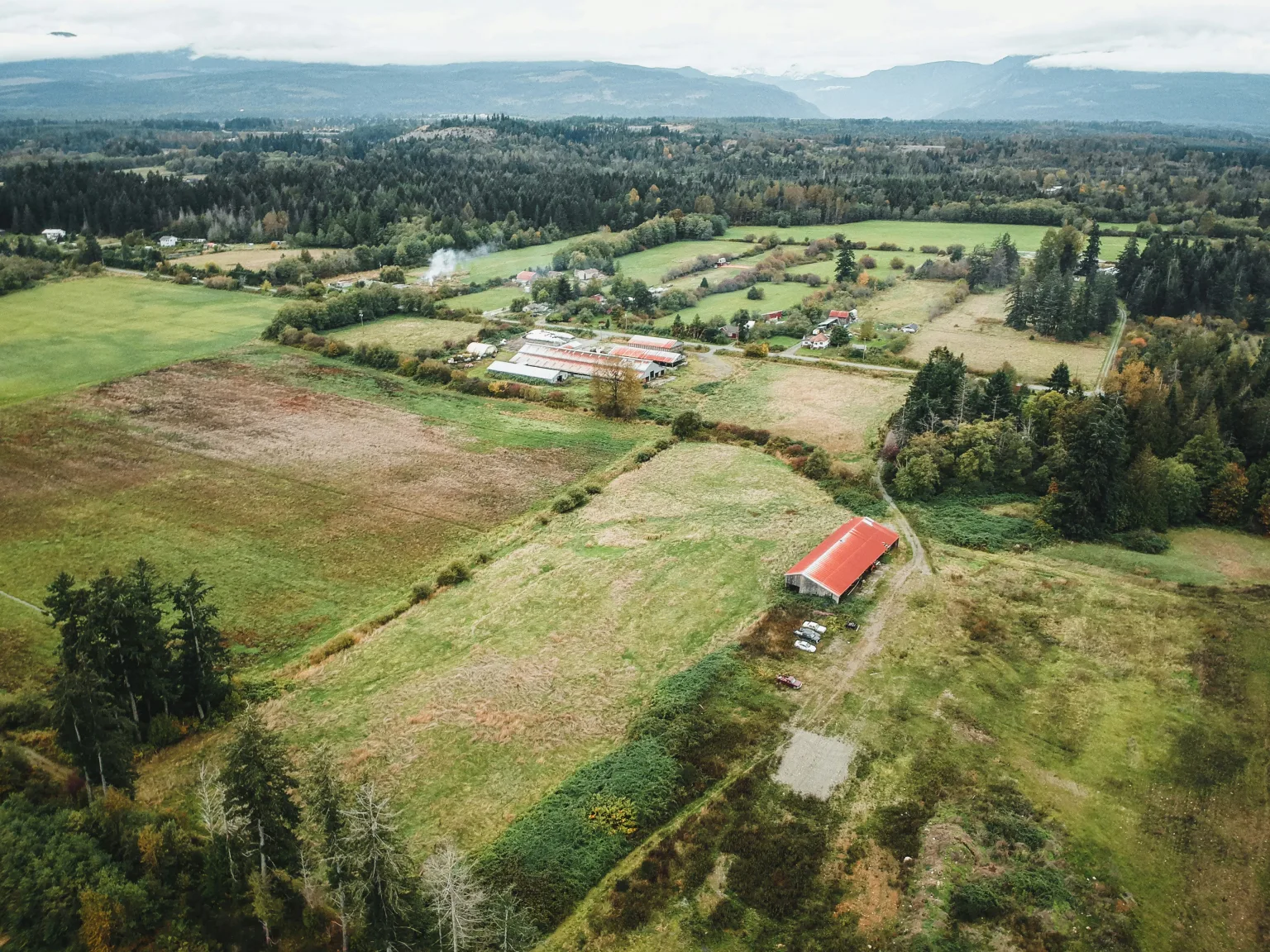 Courtenay Fields | CR Lawyers