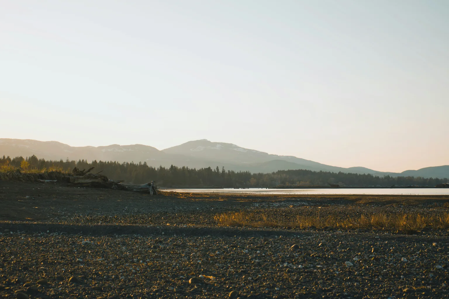 Courtenay Landscape | CR Lawyers