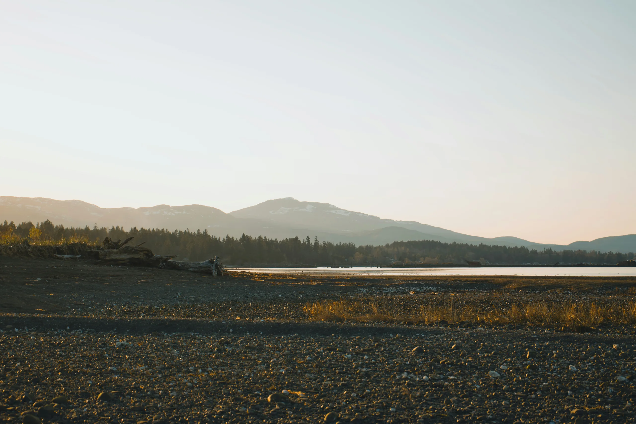 Courtenay Landscape | CR Lawyers