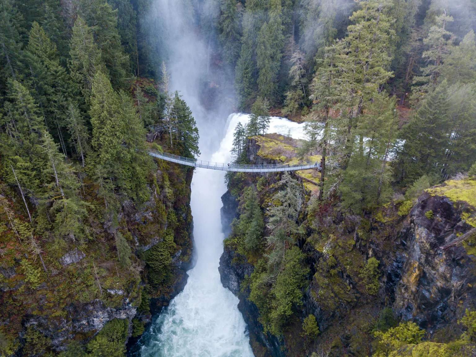 Elk Falls Campbell River | CR LAWYERS